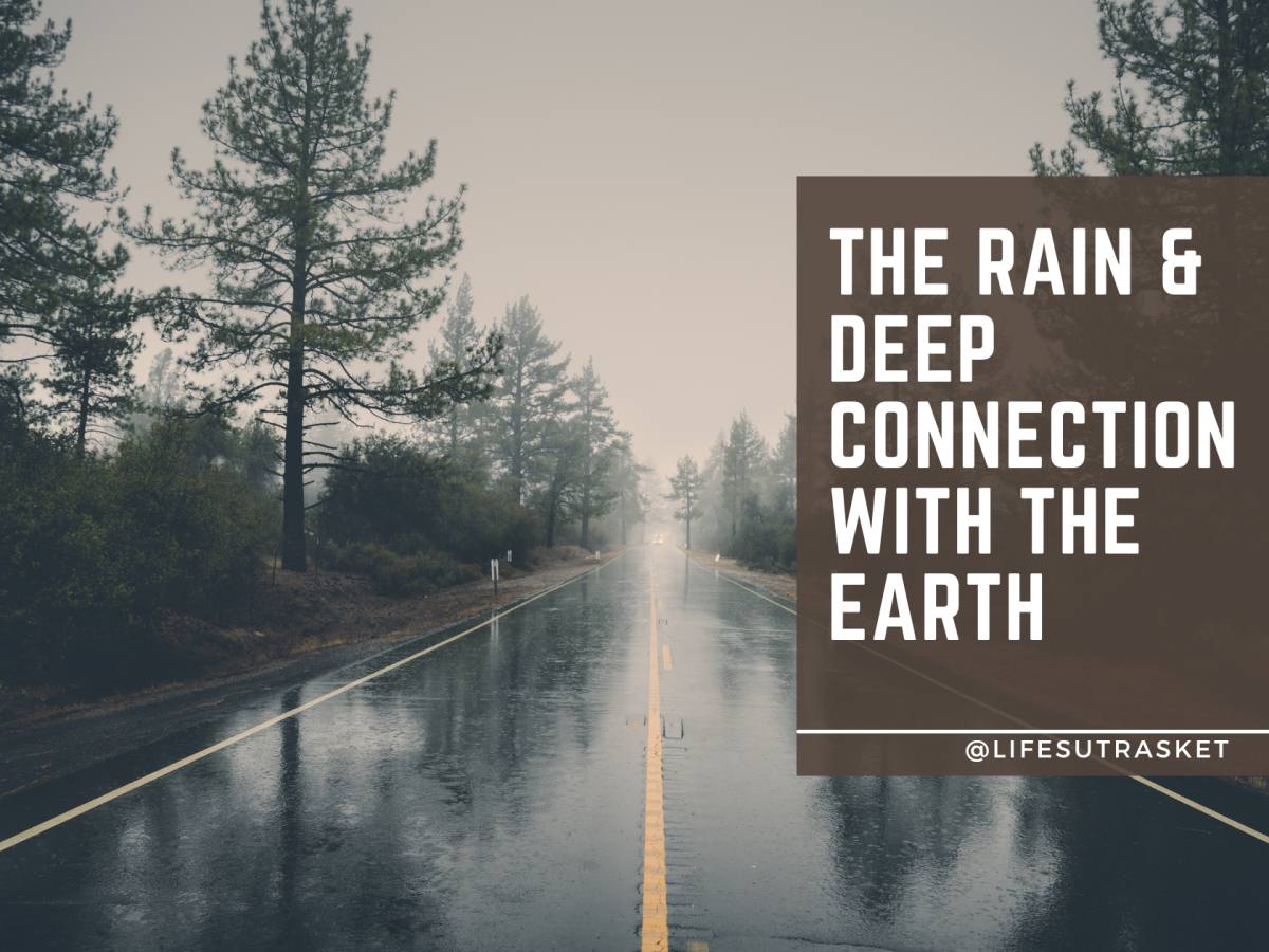 The Rain & Deep Connection with the Earth